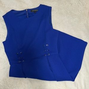 Dynamite royal blue mini dress zip up back size M worn once